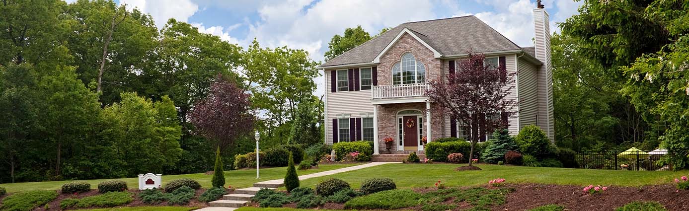 Home with lawn and trees