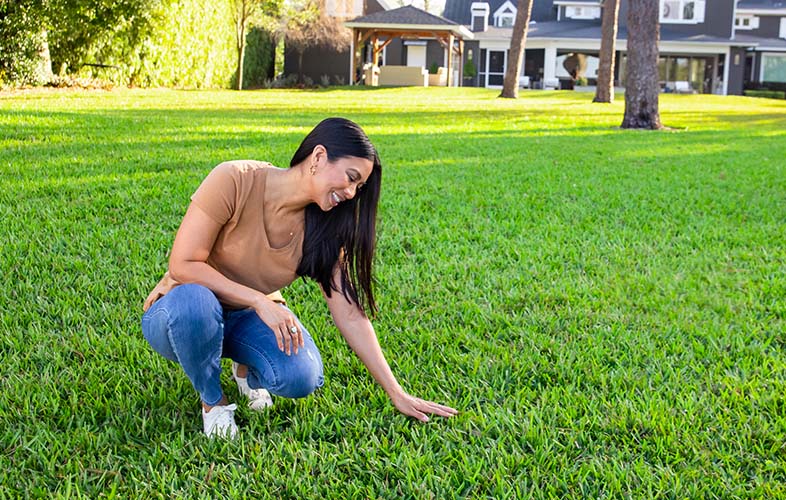 Homeowner looking at healthy turf